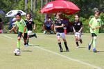 IMG_0212 (cam 0)