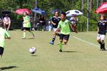 IMG_0213 (cam 0)