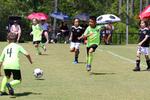 IMG_0214 (cam 0)