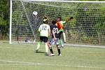 IMG_0240 (cam 0)