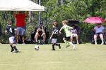 IMG_0271 (cam 0)