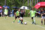 IMG_0325 (cam 0)