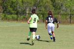 IMG_0335 (cam 0)