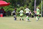 IMG_0436 (cam 0)