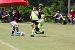 IMG_0444 (cam 0)