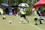 IMG_0447 (cam 0)