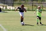 IMG_0520 (cam 0)