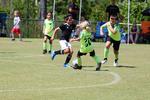IMG_0536 (cam 0)