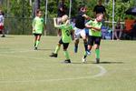 IMG_0538 (cam 0)