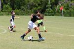 IMG_0547 (cam 0)