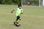 IMG_0608 (cam 0)