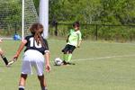 IMG_0646 (cam 0)