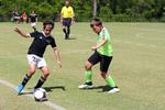 IMG_0649 (cam 0)