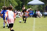 IMG_0002 (cam 0)