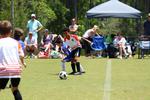 IMG_0004 (cam 0)