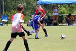 IMG_0007 (cam 0)