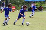 IMG_0015 (cam 0)