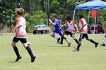 IMG_0033 (cam 0)