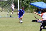 IMG_0044 (cam 0)