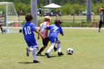 IMG_0056 (cam 0)