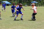 IMG_0082 (cam 0)