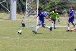IMG_0102 (cam 0)