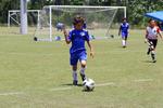 IMG_0141 (cam 0)