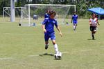 IMG_0142 (cam 0)