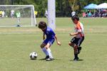 IMG_0154 (cam 0)