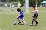 IMG_0155 (cam 0)