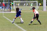 IMG_0157 (cam 0)