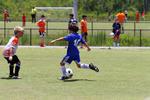 IMG_0176 (cam 0)