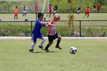 IMG_0181 (cam 0)