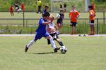 IMG_0184 (cam 0)