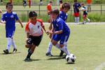 IMG_0195 (cam 0)
