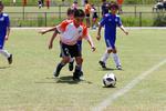 IMG_0197 (cam 0)