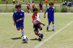 IMG_0199 (cam 0)