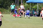 IMG_0667 (cam 0)