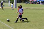 IMG_0683 (cam 0)