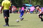 IMG_0773 (cam 0)