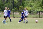 IMG_0031 (cam 0)
