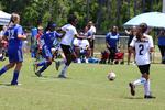 IMG_0034 (cam 0)