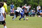 IMG_0050 (cam 0)