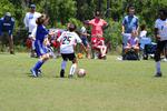 IMG_0069 (cam 0)