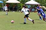 IMG_0077 (cam 0)