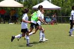 IMG_0142 (cam 0)