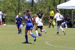 IMG_0147 (cam 0)
