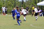 IMG_0148 (cam 0)