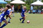 IMG_0155 (cam 0)
