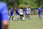 IMG_0252 (cam 0)